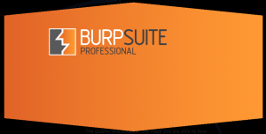 Burp Suite Professional - A key part of any web application penetration testing methodology