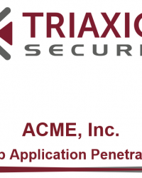 penetration test report
