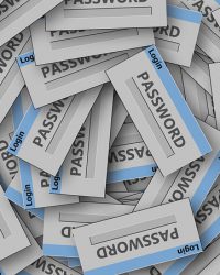 Poor IT Management Passwords