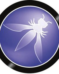 what is owasp
