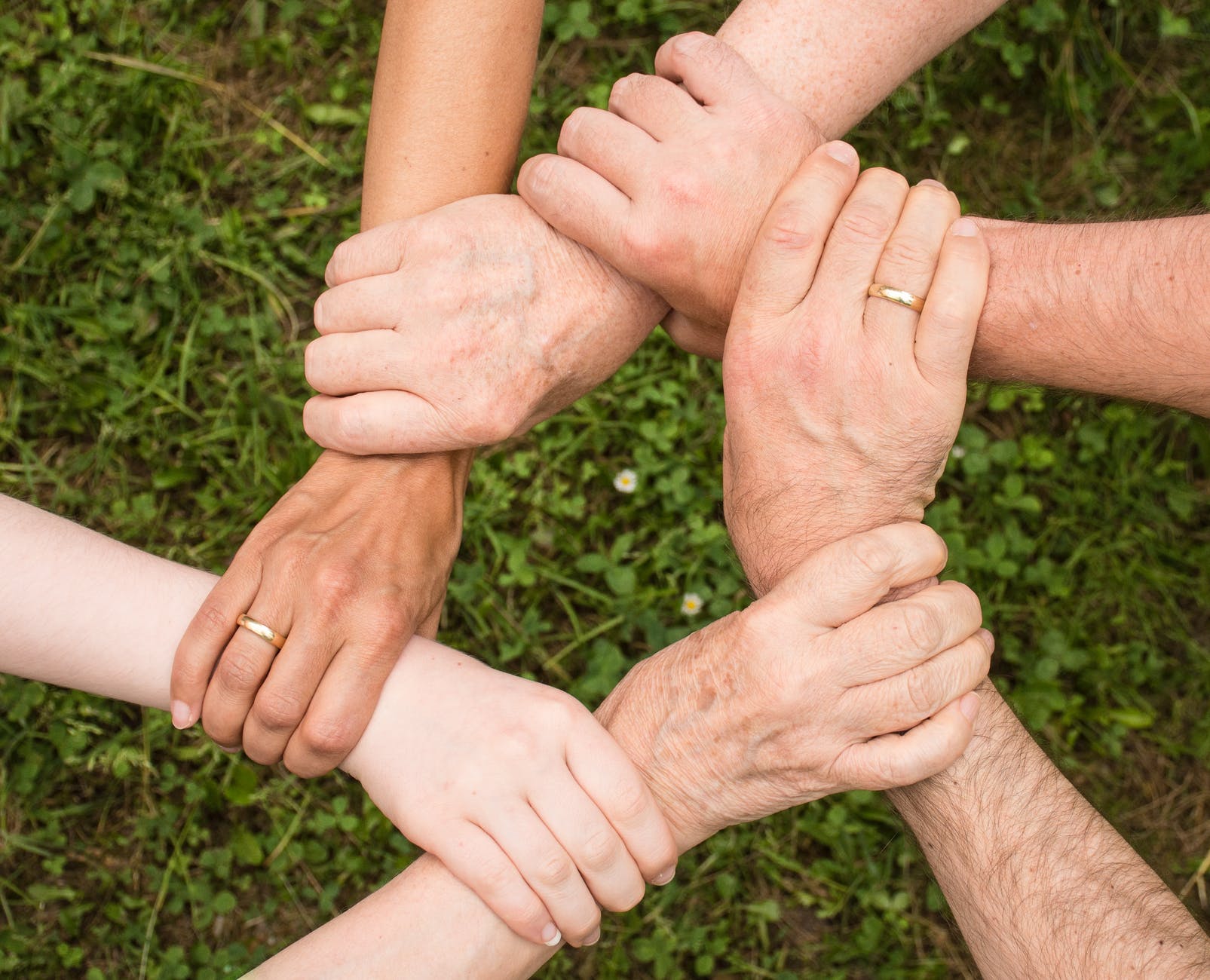 What is the Triaxiom Gives Back Program