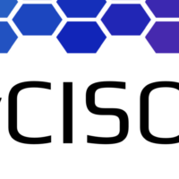 vCISO header image